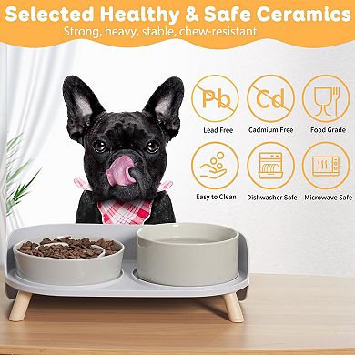 Elevated Slow Feeder Dog Bowls - Ceramic Food and Water Bowl Set with Stand