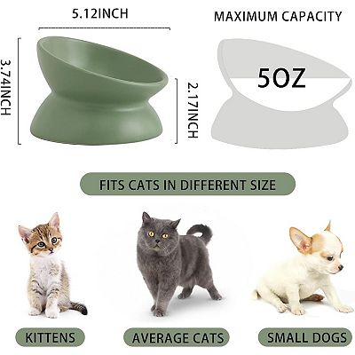 Ceramic Raised Cat Bowl, Cat Food Bowls Elevated Tilted, Ceramic Pet Bowl  Whisker Friendly