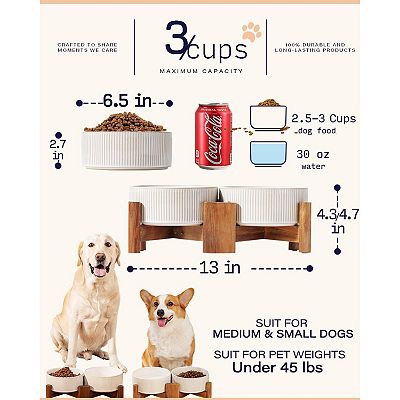 +orijen +fish +cat +food ORIJEN Six Fish Dry Cat Food