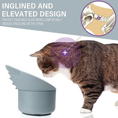 Cat Slow Feeder, Elevated Slow Feeder Bowl Tilt Design, Suitable for Dry and Wet Food