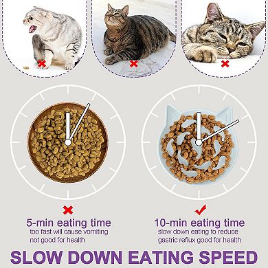 Cat Slow Feeder, Elevated Slow Feeder Bowl Tilt Design, Suitable for Dry and Wet Food