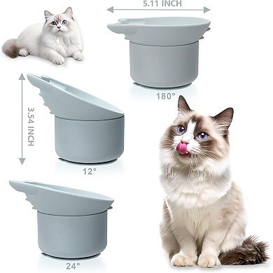 Cat Slow Feeder, Elevated Slow Feeder Bowl Tilt Design, Suitable for Dry and Wet Food