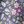 Purple Tight Floral