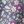 Purple Tight Floral