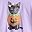 Purple Pumpkin Kitty