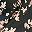 Black Batik Vines
