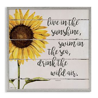 Stupell Home Decor Live In Sunshine Drink Wild Air Framed Wall Art