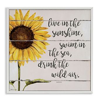 Stupell Home Decor Live In Sunshine Drink Wild Air Framed Wall Art