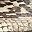 Taupe Snake