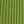 Leaf Green