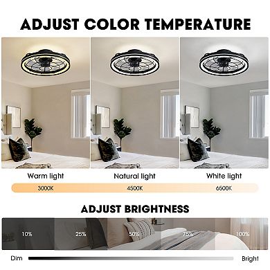 Moooni 19" Black Modern Ceiling Fan with Lights & Remote, Low Profile Dimmable Fandelier for Bedroom