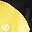 Yellow Plum And Black