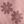 Plum Large Floral