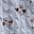 Blue Multi Floral