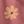 Mauve Brush Floral