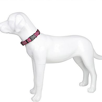 Dog Collar Reflective Soft Padded Adjustable Comfort Nylon Collars for All Breeds