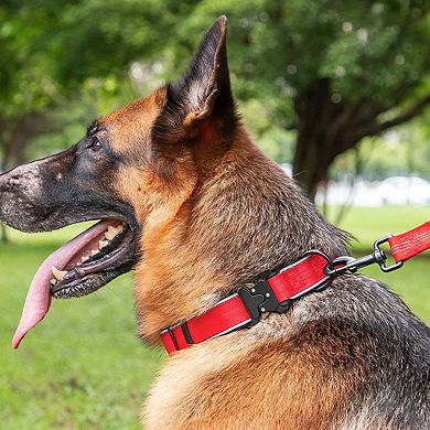 Dog Collar Reflective Comfort Padded Adjustable Adventure Nylon Pet Collars for All Breeds