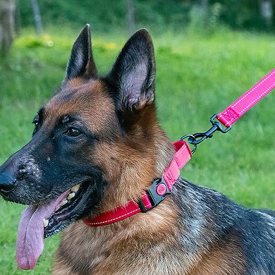 Dog Collar Adjustable Reflective Comfort Nylon Pet Collars