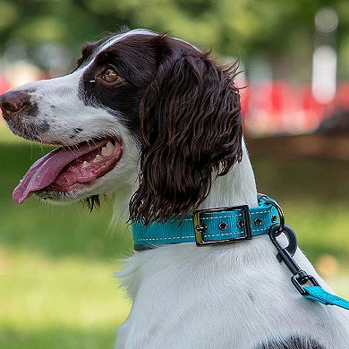 Dog Collar Reflective Adjustable Comfort Padded Nylon Collars with Durable Metal Belt Buckle