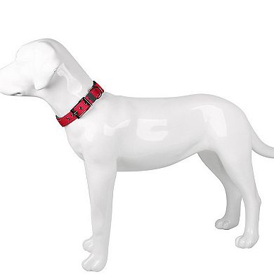 Dog Collar Reflective Adjustable Comfort Padded Nylon Collars with Durable Metal Belt Buckle