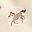 Beige Horses