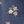 Navy Multi Floral