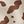 Ivry Brw Animal Print