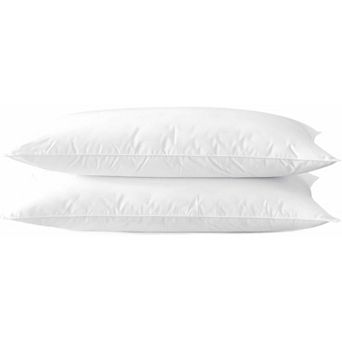 Great Ambitions Flat Soft Bed Pillows Set of 2 pk for Sleeping 20"x26"Skin Friendly Machine Washable