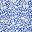 Blue White Flower