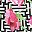 Pink Flowers