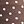 Brown White Polka Dot
