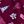 Maroon Varsity