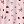 Pink Floral