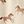 Beige Horses