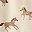 Beige Horses