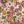 Ditsy Floral