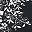 Black Floral Vines