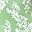Green White Floral