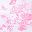 White Pink Floral