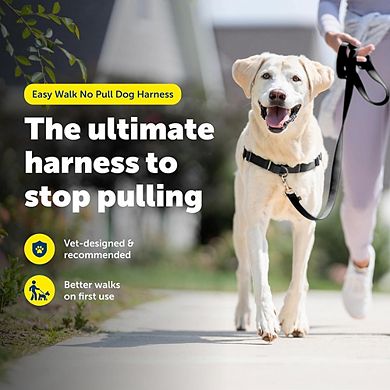 Breathable Pull Free Dog Harness Adjustable Fit