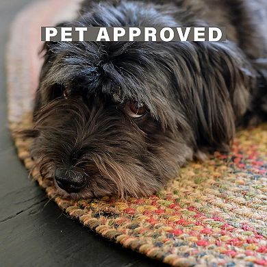 HomeSpice Kingston Jute Braided Rug Non-Shedding Brown/Red/Black/Beige Rug