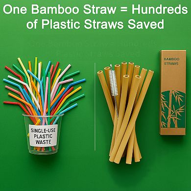 Reusable Bamboo Straws with Cleaning Brush 10pc 8 Inch Eco Friendly - Smoothies, Coffee & Cocktails