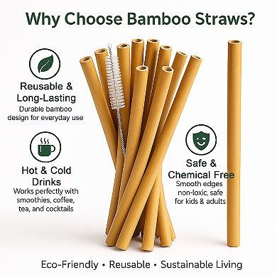 Reusable Bamboo Straws with Cleaning Brush 10pc 8 Inch Eco Friendly - Smoothies, Coffee & Cocktails