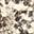 Taupe Snake