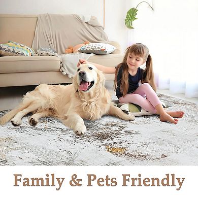 Modern Machine Washable Abstract Area Rug Non Slip Non Shedding Foldable Rug for Bedroom Dining Room