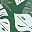Green White