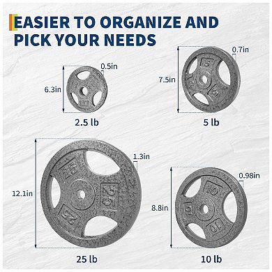 1 Inch Cast Iron Weight Plates Set 4x 5 Lbs 1Inch Iron Barbell Weights Plates for Home Gym