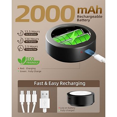 Rechargeable Picture Wall Light with Remote and Color Modes