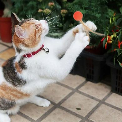 Interactive Cat Toys Bouncy Ball with Natural Feathers for Indoor Cats and Kittens 3 PCs Set
