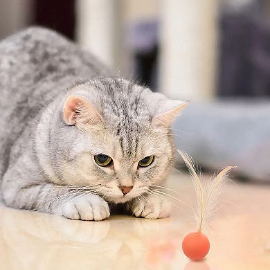 Interactive Cat Toys Bouncy Ball with Natural Feathers for Indoor Cats and Kittens 3 PCs Set